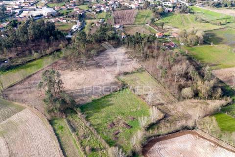 Terreno agricola e florestal - barreiros, amares