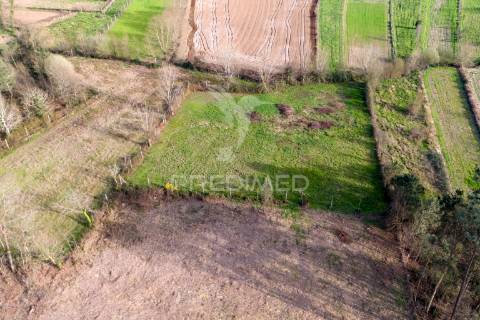 Terreno agricola e florestal - barreiros, amares