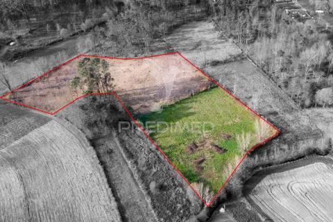 Terreno agricola e florestal - barreiros, amares