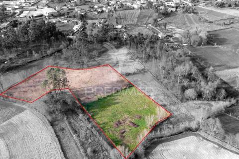 Terreno agricola e florestal - barreiros, amares