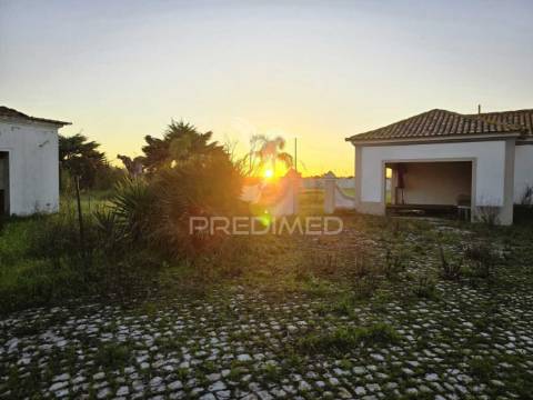 Casa senhorial em arraiados – um refúgio único com zona comercial!