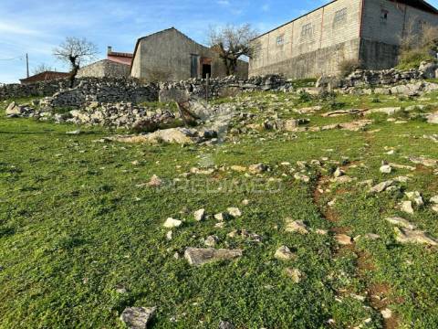 Ruína inserida em  terreno rústico e urbano na portela do pereiro