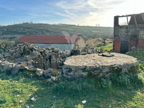 Ruína inserida em  terreno rústico e urbano na portela do pereiro
