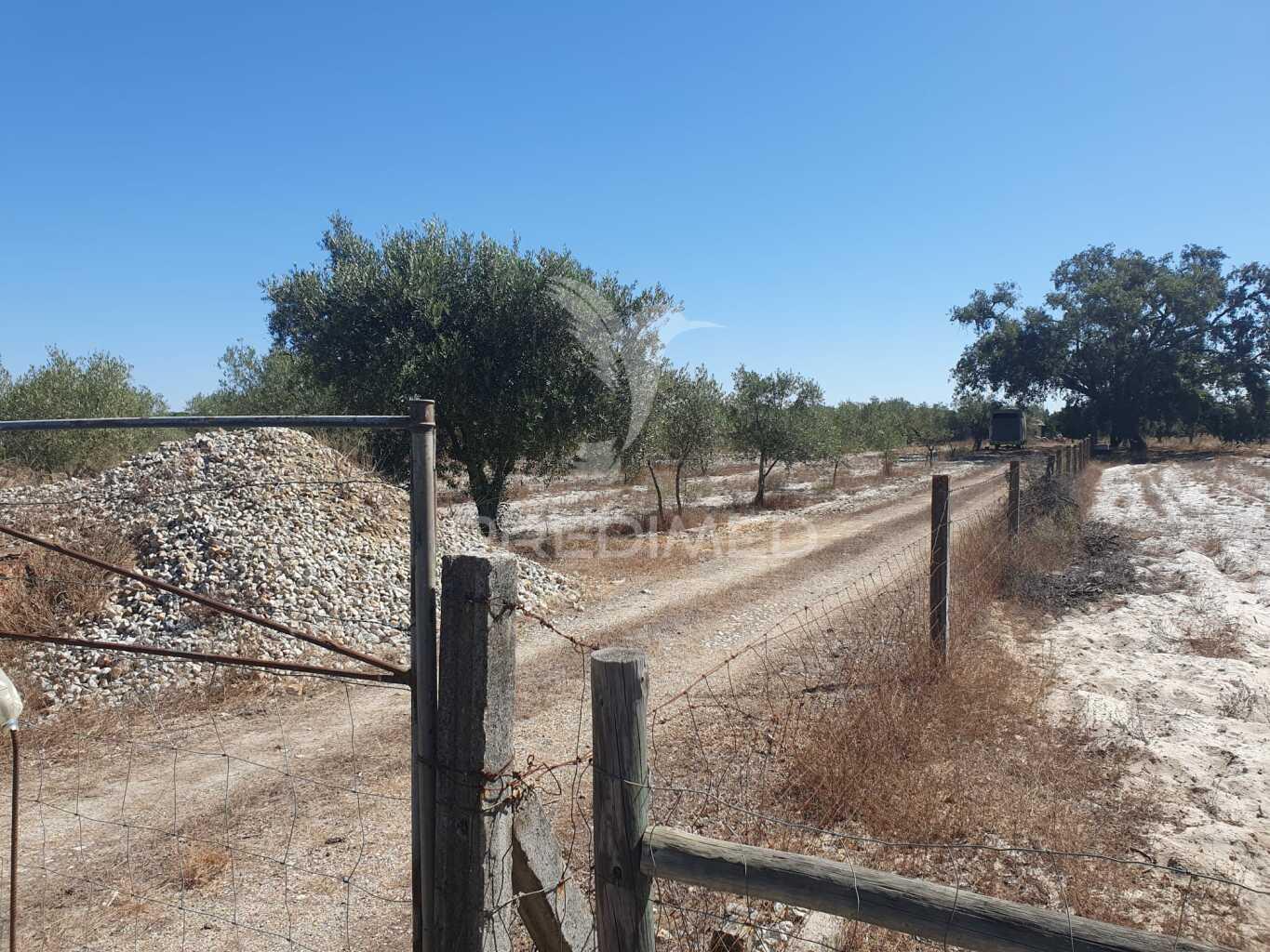 Terreno rustico com 18.250m2 em vale gamito, grândola