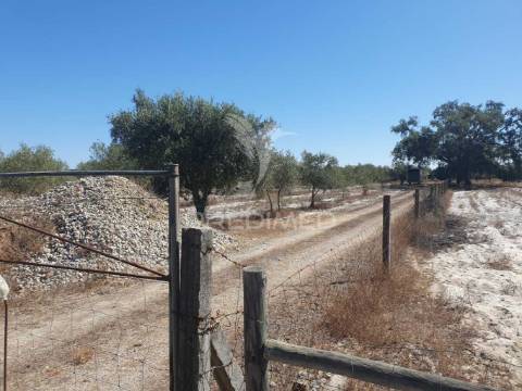 Terreno rustico com 18.250m2 em vale gamito, grândola