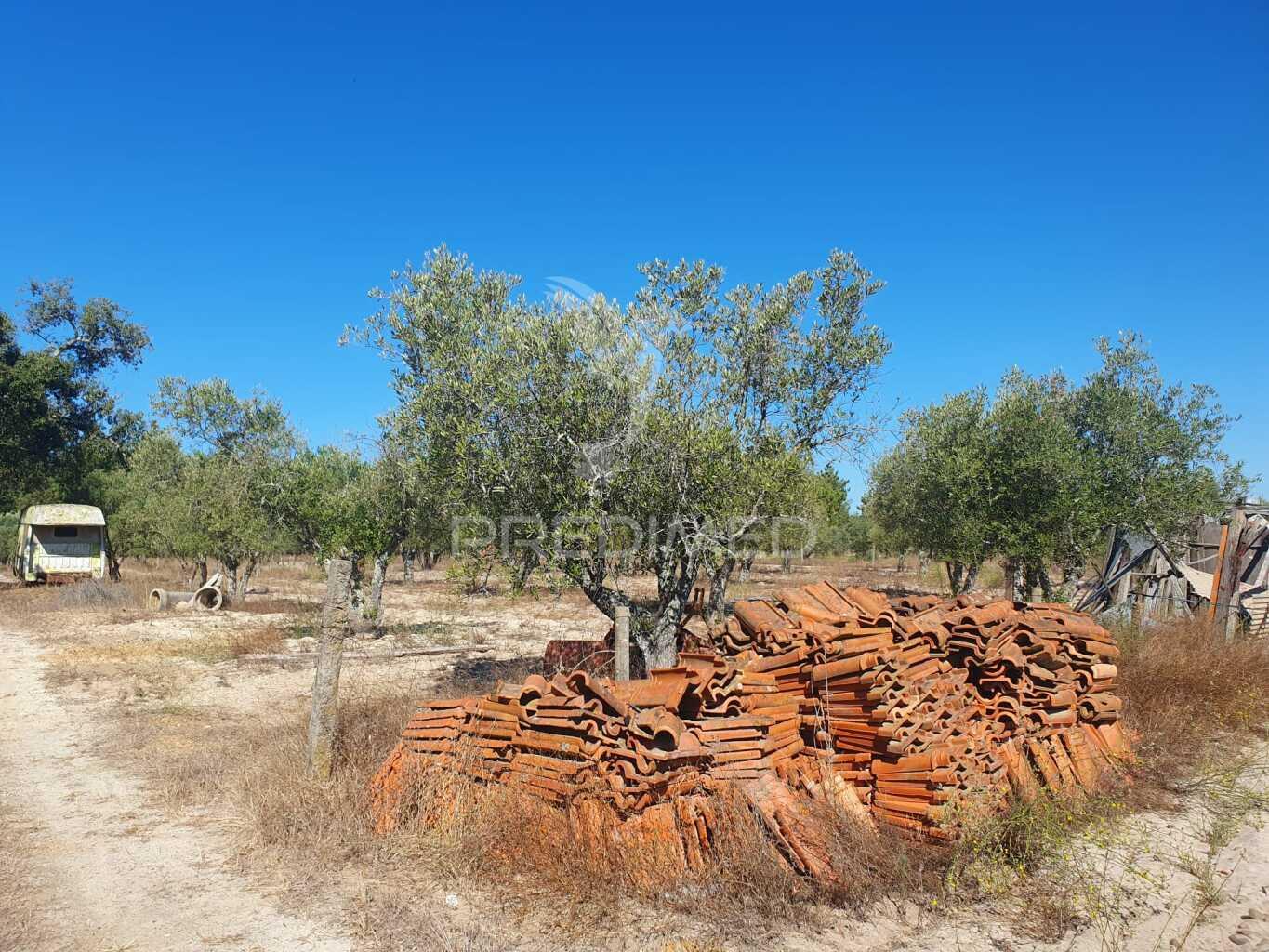 Terreno rustico com 18.250m2 em vale gamito, grândola