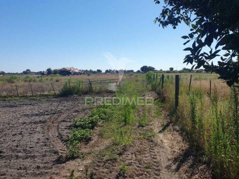 Terreno rustico com 18.250m2 em vale gamito, grândola