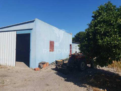 Terreno rustico com 18.250m2 em vale gamito, grândola