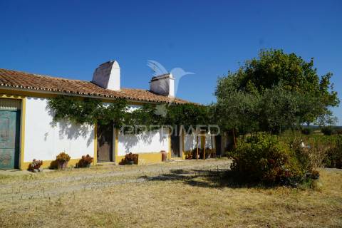 Monte alentejano