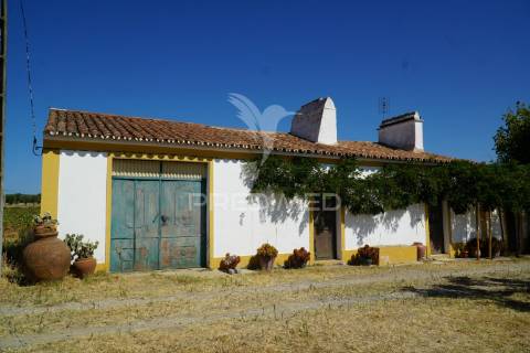 Monte alentejano