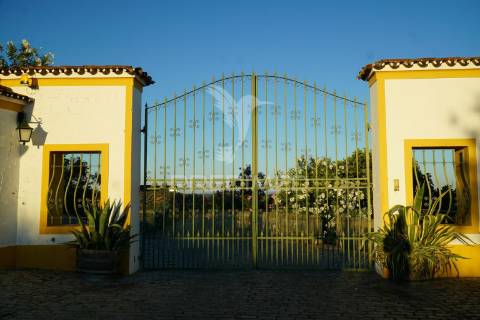 Quinta de charme t5