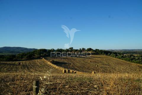 Quinta de charme t5