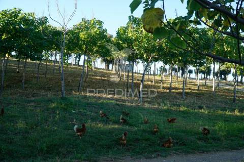 Quinta de charme t5