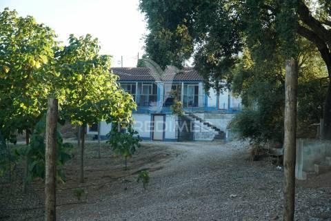 Quinta de charme t5