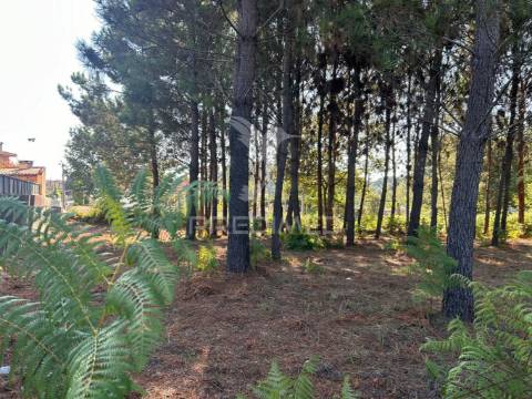 Terreno p/construção