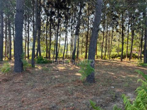 Terreno p/construção