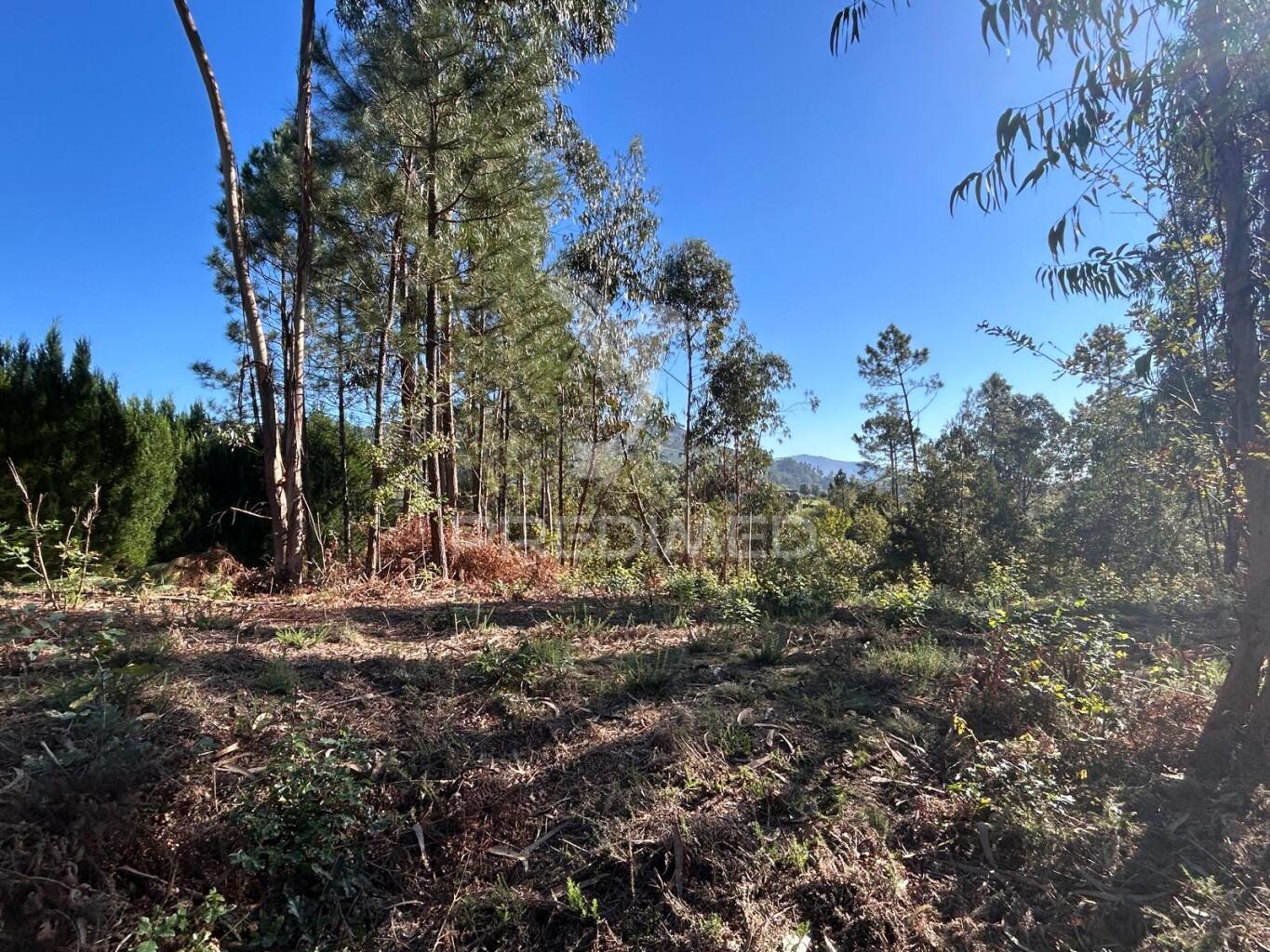 Terreno para construção