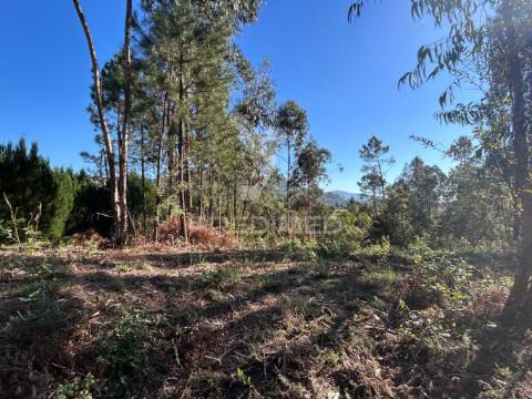 Terreno para construção
