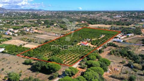 Terreno premium para a moradia dos seus sonhos – algarve