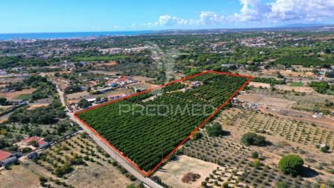 Terreno premium para a moradia dos seus sonhos – algarve