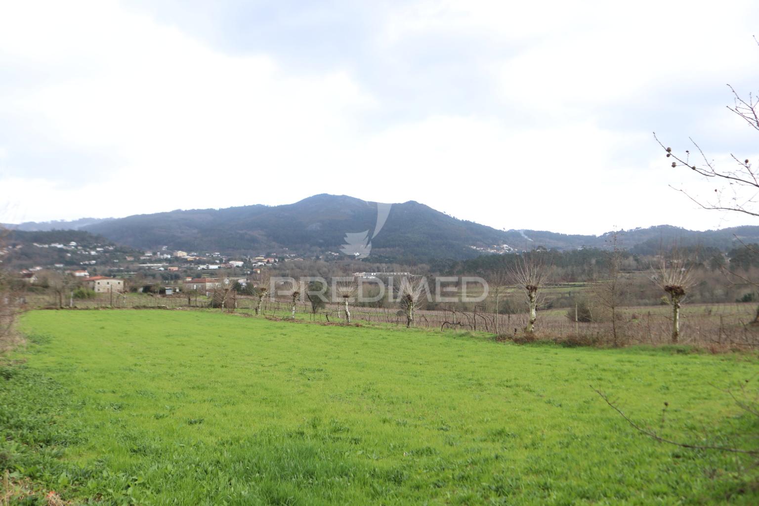 Oportunidade....terreno agrícola.