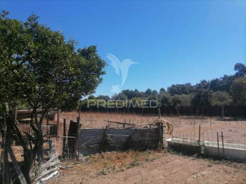 Terreno