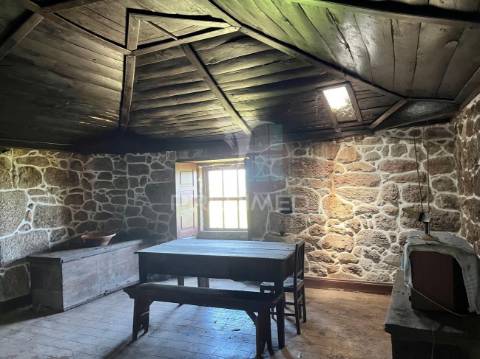 Quintinha com 2 casas (douro)