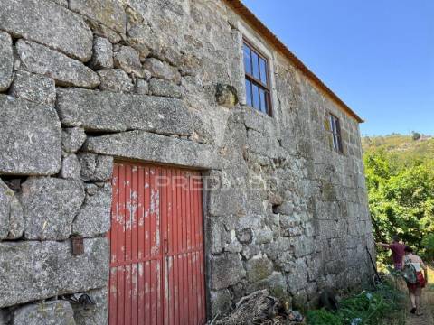 Quintinha com 2 casas (douro)