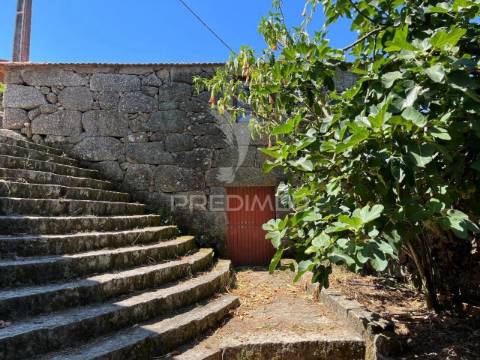 Quintinha com 2 casas (douro)