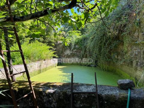 Quintinha com 2 casas (douro)