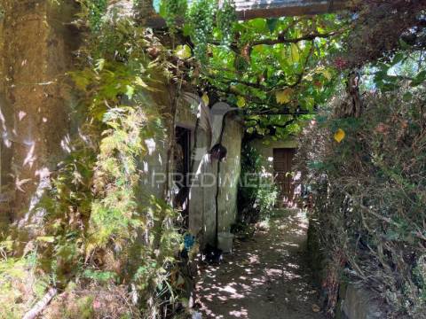 Quintinha com 2 casas (douro)