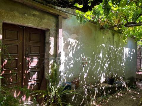 Quintinha com 2 casas (douro)