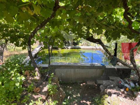 Quintinha com 2 casas (douro)