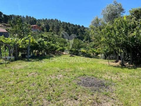 Quintinha com 2 casas (douro)