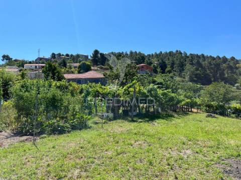 Quintinha com 2 casas (douro)