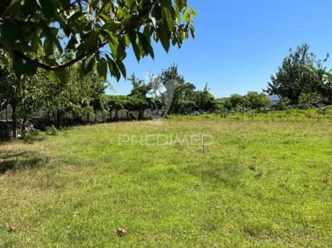 Quintinha com 2 casas (douro)