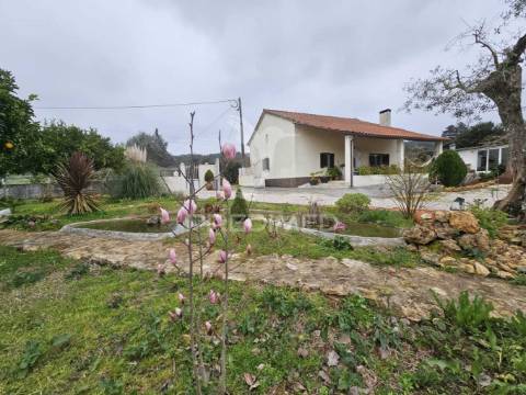 Refúgio no campo – moradia renovada com terreno de 6000m² e natureza deslumbrante!