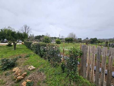 Refúgio no campo – moradia renovada com terreno de 6000m² e natureza deslumbrante!