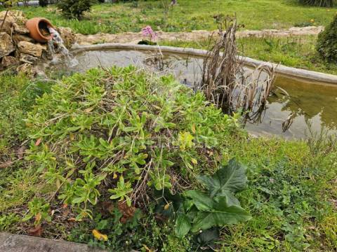 Refúgio no campo – moradia renovada com terreno de 6000m² e natureza deslumbrante!