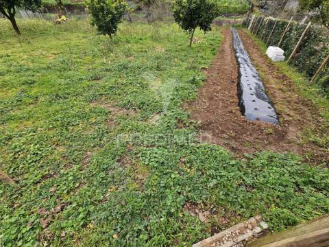Refúgio no campo – moradia renovada com terreno de 6000m² e natureza deslumbrante!