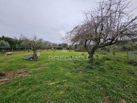 Refúgio no campo – moradia renovada com terreno de 6000m² e natureza deslumbrante!