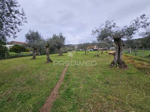 Refúgio no campo – moradia renovada com terreno de 6000m² e natureza deslumbrante!