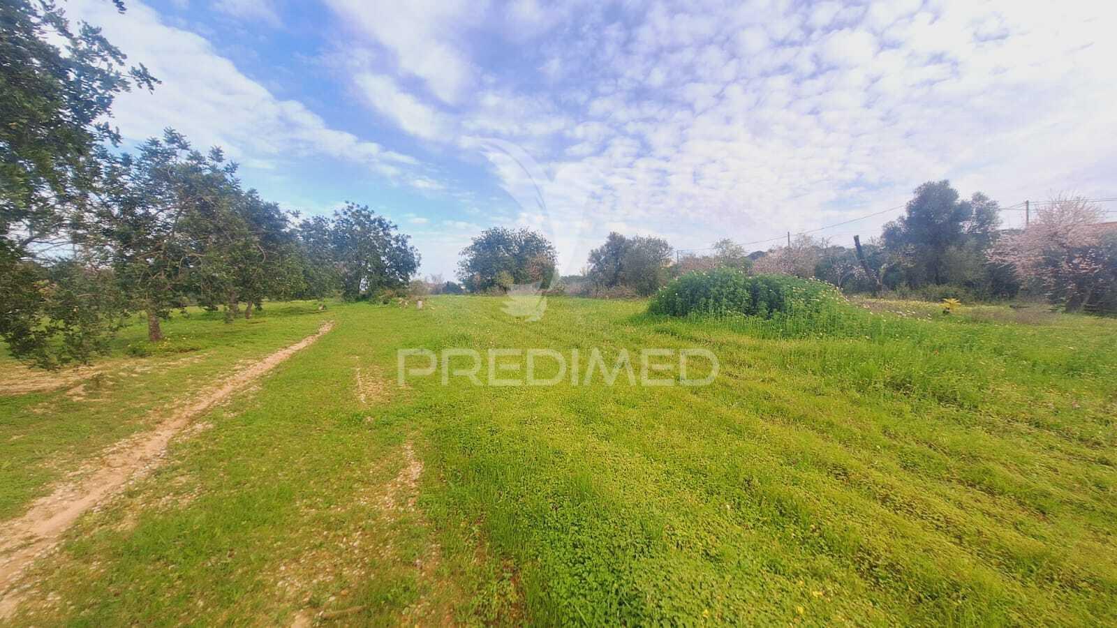 Terreno para construção em paderne com 3700 m2