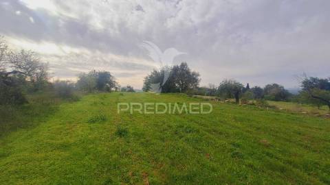 Terreno para construção em paderne com 3700 m2