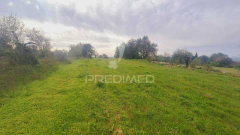 Terreno para construção em paderne com 3700 m2