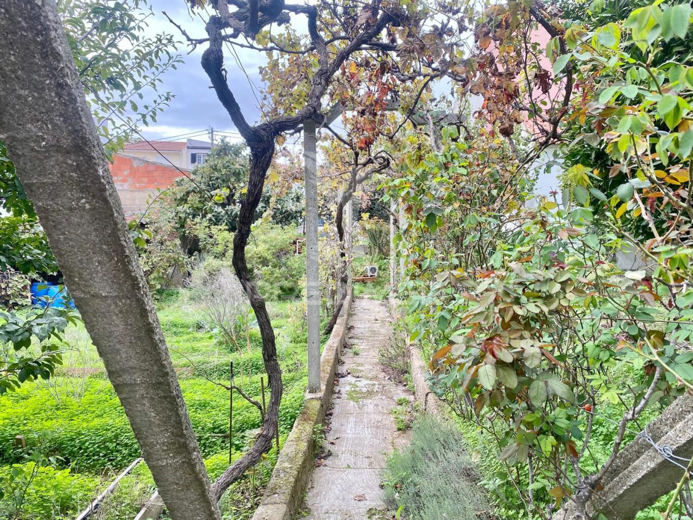 Terreno para construção de moradia