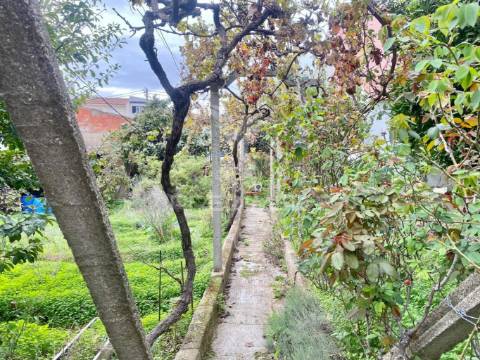 Terreno para construção de moradia