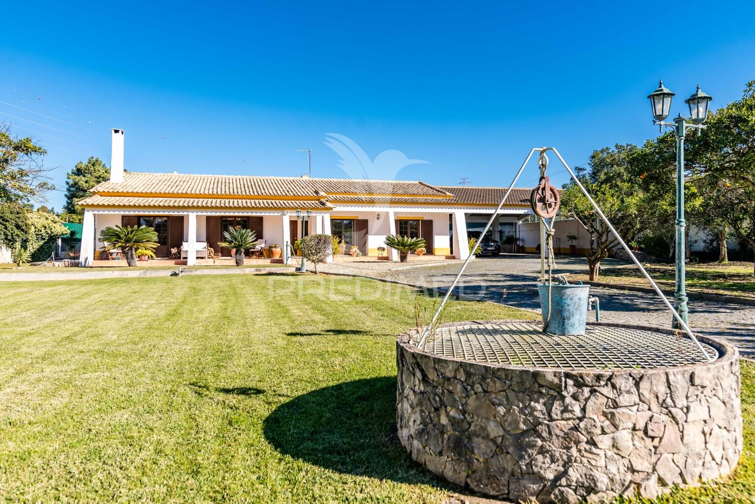 Quinta em palmela com moradia térrea