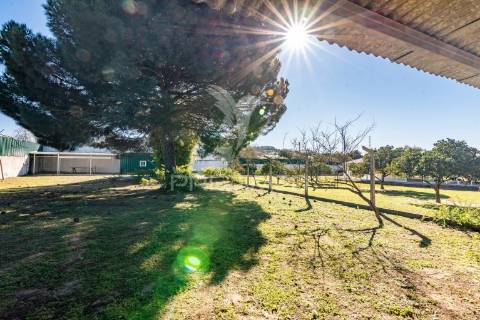 Quinta em palmela com moradia térrea