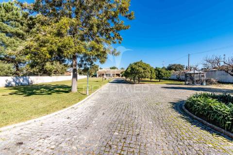 Quinta em palmela com moradia térrea